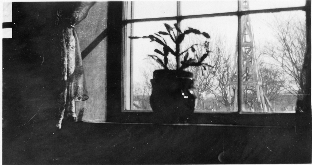 HomePlcxx LivRmEWindow 02-1921