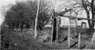 HomePlciv Wside02-1921