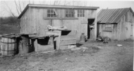 HomePlcvi CkHs&OldTomCat03-1921