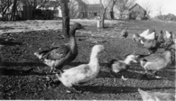 HomePlcxiv c 02-1921