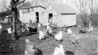 HomePlcxv c 02-1921